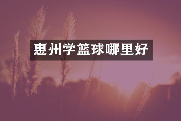 惠州学篮球哪里好