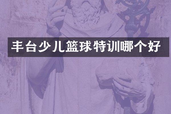 丰台少儿篮球特训哪个好