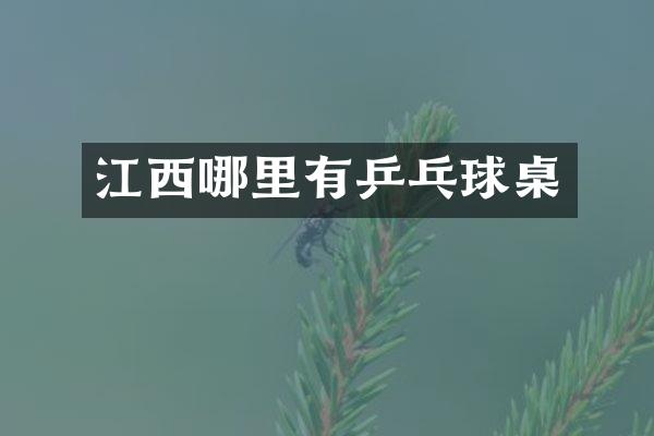 江西哪里有乒乓球桌
