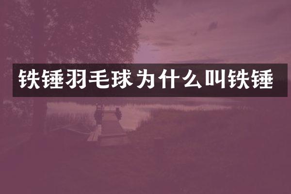 铁锤羽毛球为什么叫铁锤