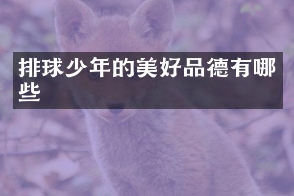 排球少年的美好品德有哪些