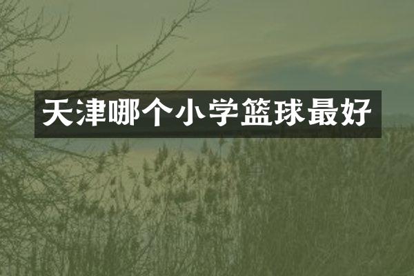 天津哪个小学篮球最好