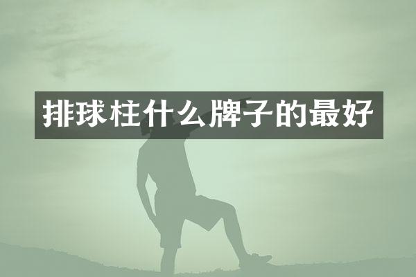 排球柱什么牌子的最好