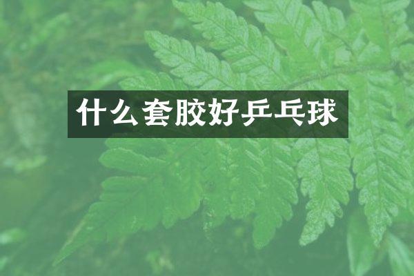 什么套胶好乒乓球