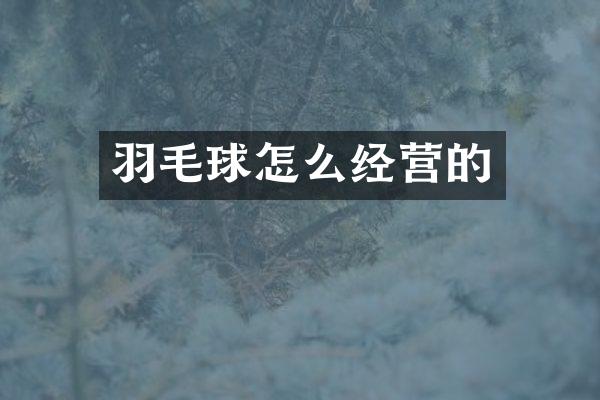 羽毛球怎么经营的