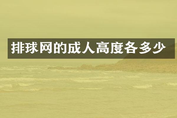 排球网的成人高度各多少