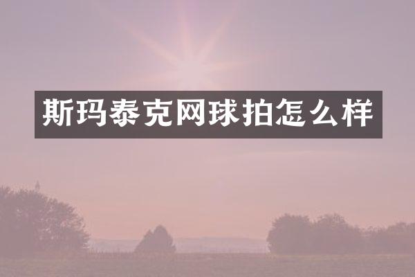 斯玛泰克网球拍怎么样