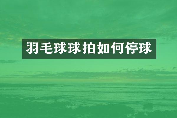羽毛球球拍如何停球
