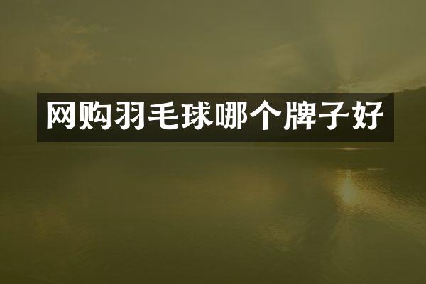网购羽毛球哪个牌子好