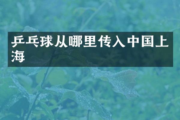 乒乓球从哪里传入中国上海