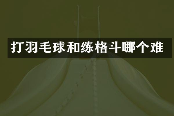 打羽毛球和练格斗哪个难