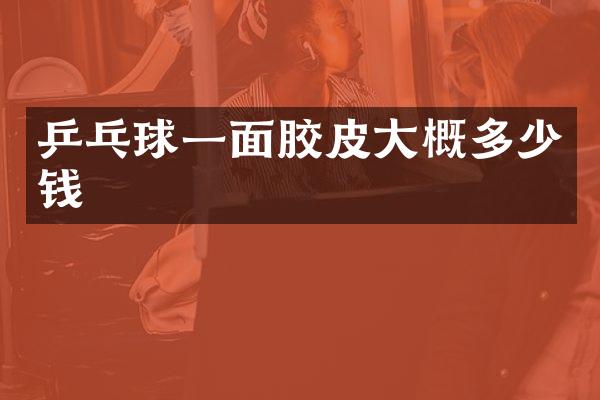 乒乓球一面胶皮大概多少钱
