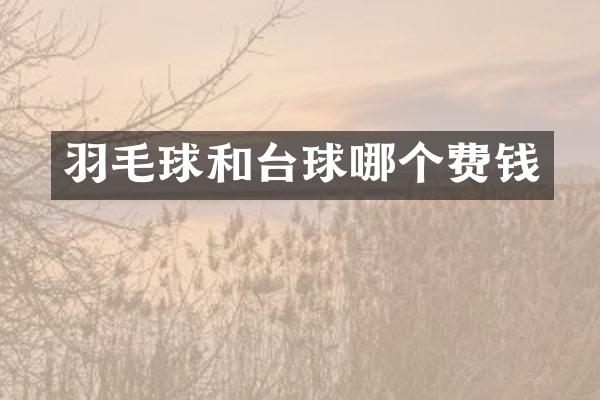 羽毛球和台球哪个费钱