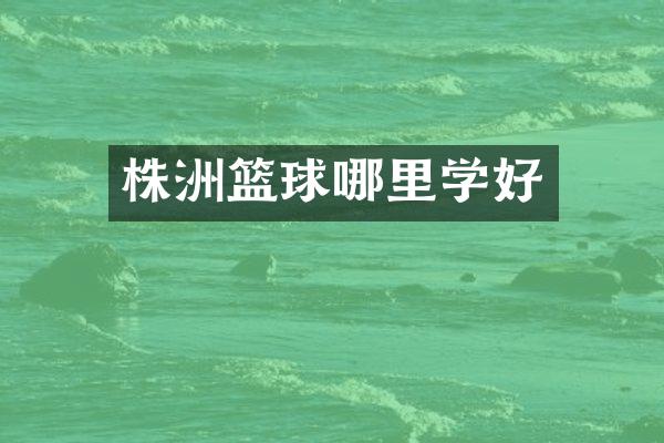 株洲篮球哪里学好