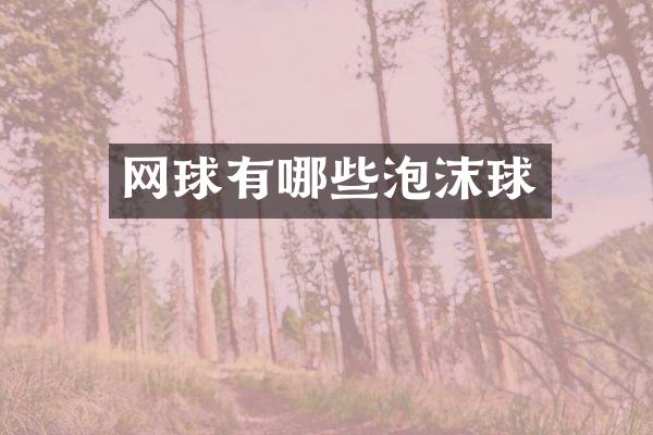 网球有哪些泡沫球