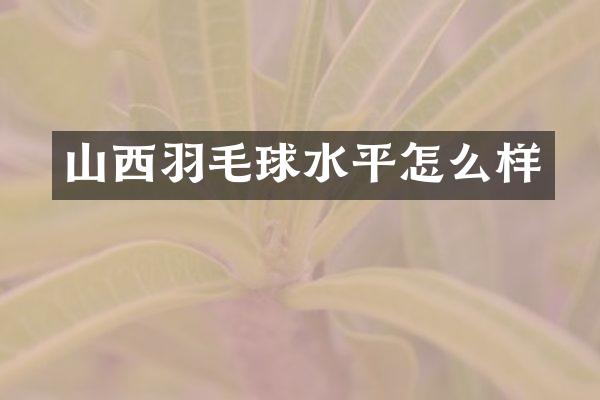 山西羽毛球水平怎么样