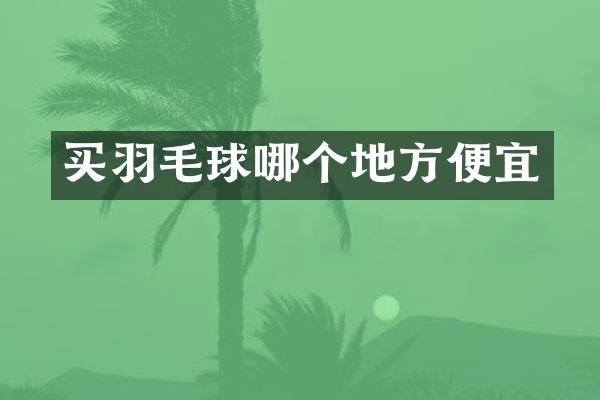 买羽毛球哪个地方便宜