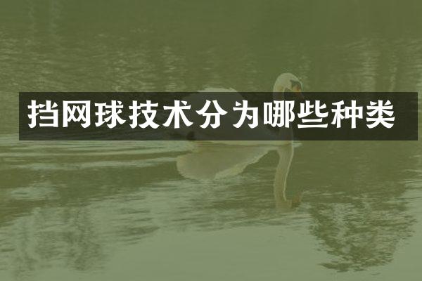 挡网球技术分为哪些种类