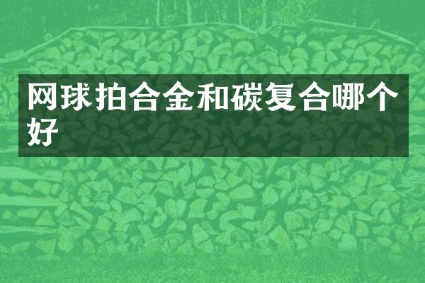 网球拍合金和碳复合哪个好