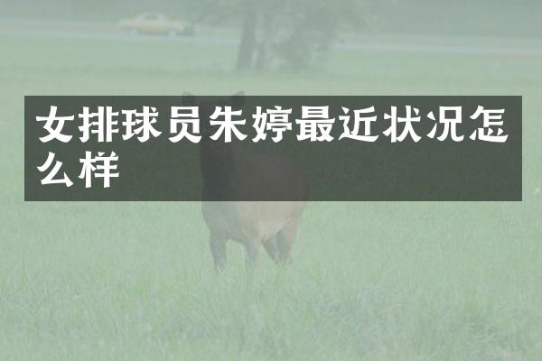 女排球员朱婷最近状况怎么样