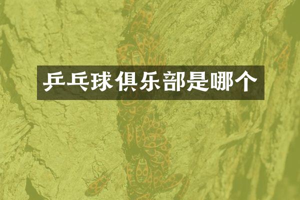 乒乓球俱乐部是哪个