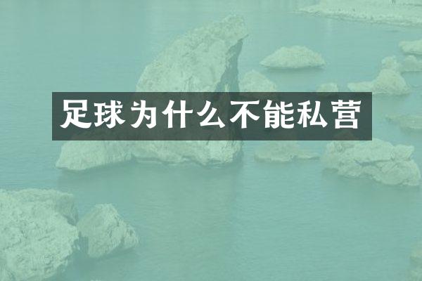 足球为什么不能私营