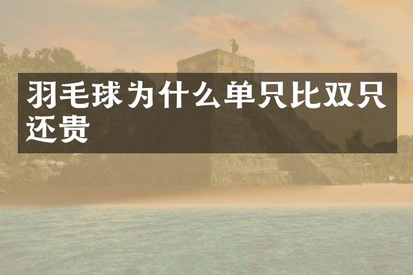 羽毛球为什么单只比双只还贵