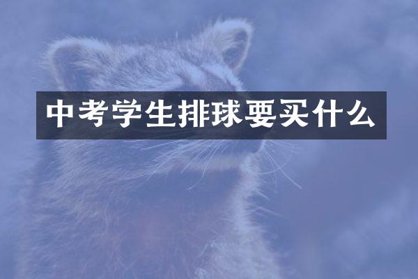中考学生排球要
