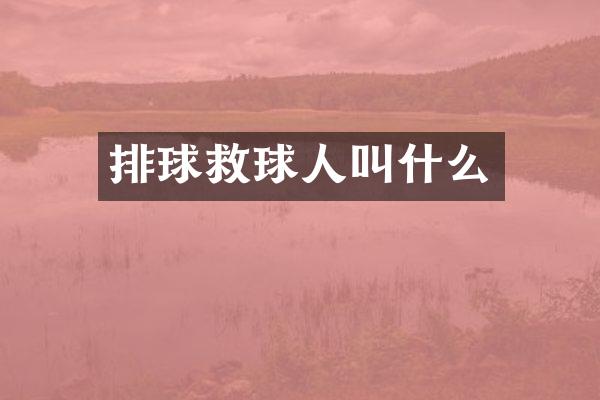 排球救球人叫什么