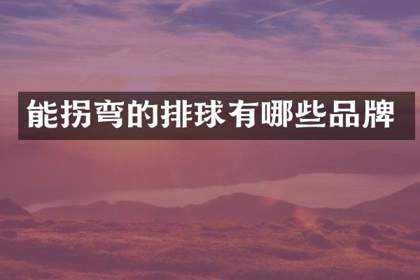 能拐弯的排球有哪些品牌
