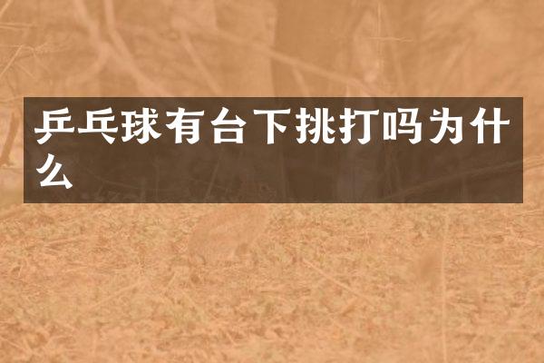 乒乓球有台下挑打吗为什么