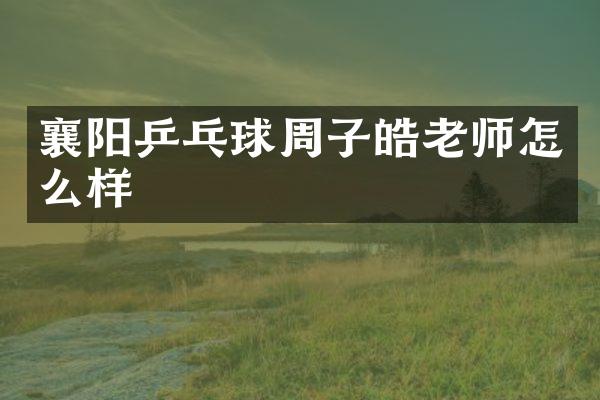 襄阳乒乓球周子皓老师怎么样