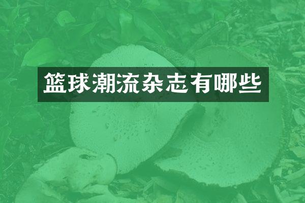 篮球潮流杂志有哪些