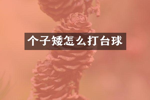 个子矮怎么打台球