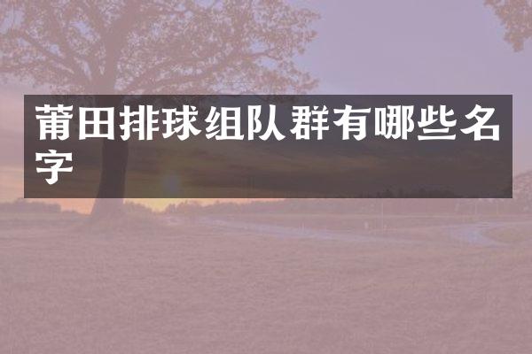 莆田排球组队群有哪些名字