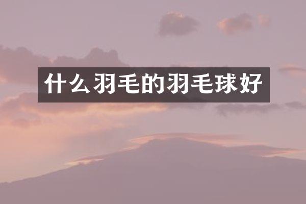 什么羽毛的羽毛球好