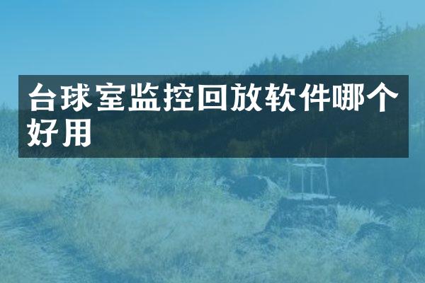 台球室监控回放软件哪个好用