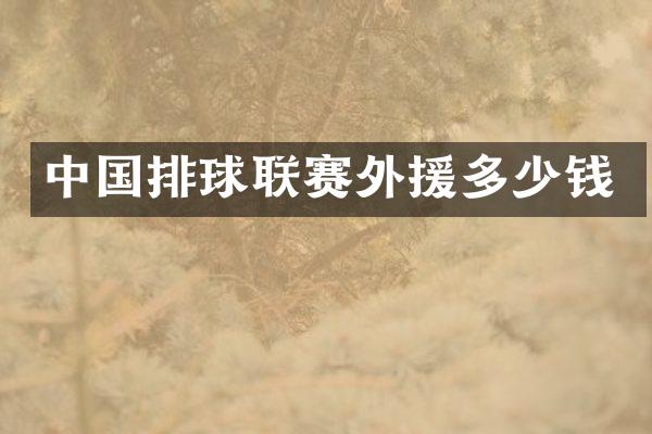 中国排球联赛外援多少钱