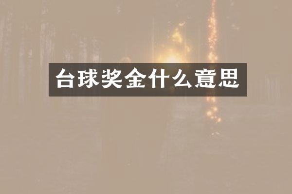 台球奖金什么意思