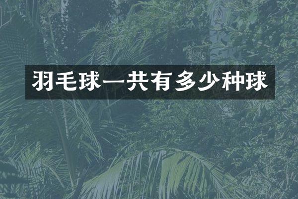 羽毛球一共有多少种球