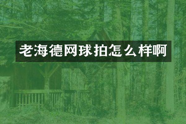 老海德网球拍怎么样啊