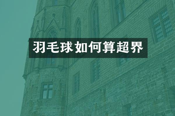 羽毛球如何算超界