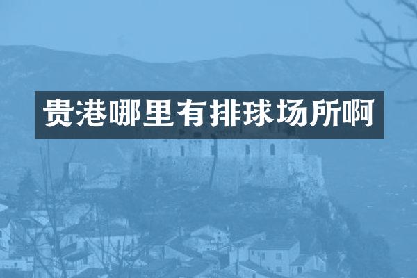 贵港哪里有排球场所啊
