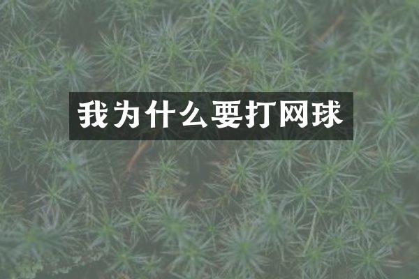 我为什么要打网球
