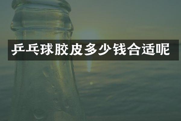 乒乓球胶皮多少钱合适呢