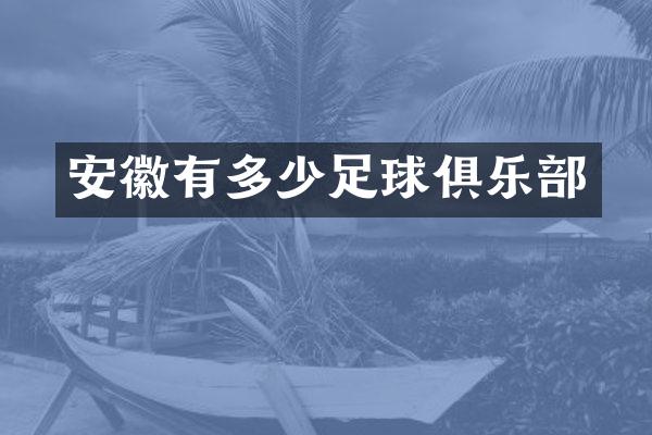 安徽有多少足球俱乐部