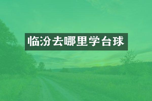 临汾去哪里学台球