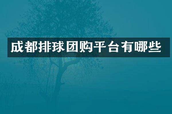 成都排球团购平台有哪些