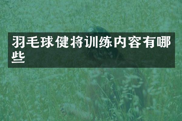 羽毛球健将训练内容有哪些