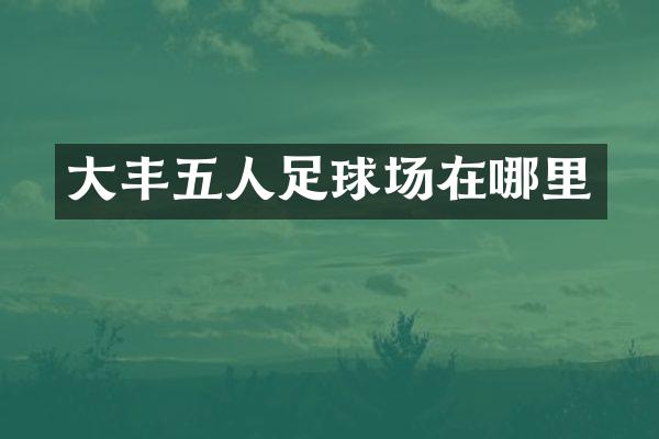 大丰五人足球场在哪里